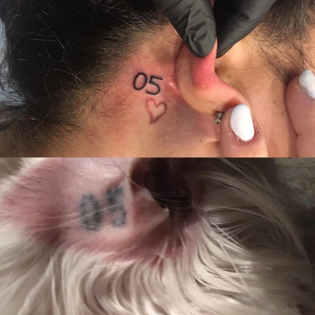 tatuaje solidaridad con perro rescatado 3