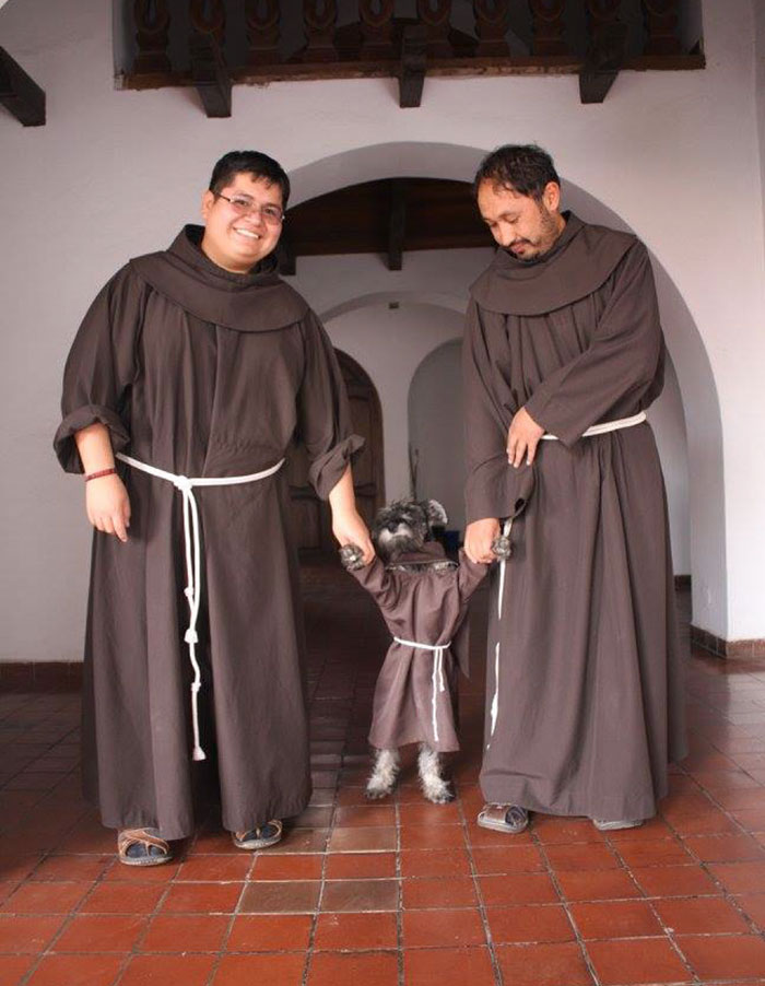 Fray Bigotón el perro callejero que se convirtió en monje 10