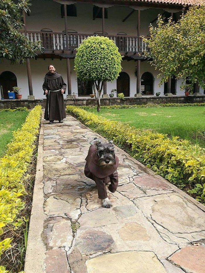 Fray Bigotón el perro callejero que se convirtió en monje 3