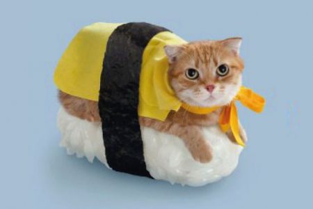 30 absurdas situaciones que solo suceden en Japón