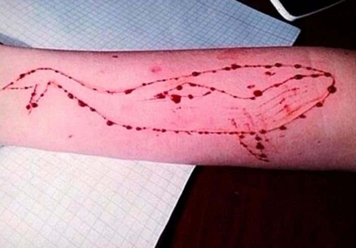 juego suicida enfermo conocido como Blue Whale 1