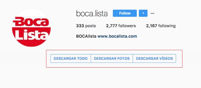 bocalista instagram