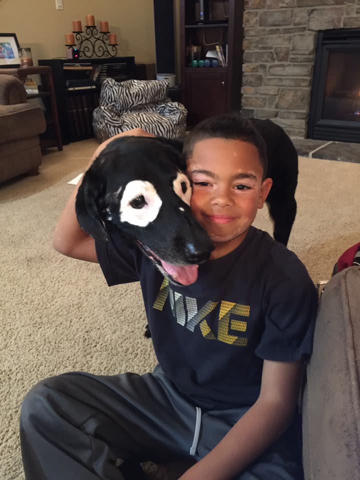 perro alegra a niño con vitiligo 1