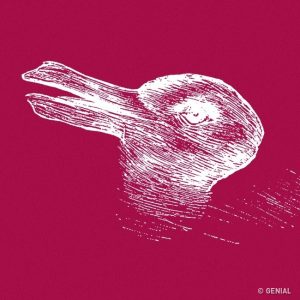 ¿Ves un conejo o un pato? Esto dice algo de tu personalidad aquí…