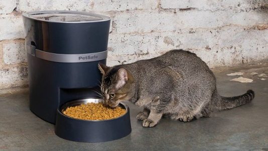 Este dispensador de comida mantendrá a tu mascota bien alimentada mientras no estas