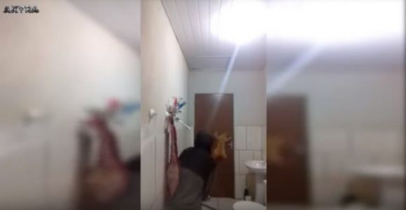 La hilarante historia de un sujeto tratando de atrapar una rata con su gato