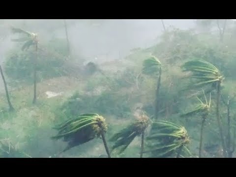 huracán María derrumba a Puerto Rico