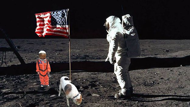 niño pasea perro en traje astronauta y le hacen photoshop 3