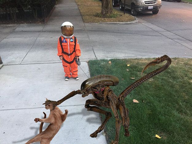 niño pasea perro en traje astronauta y le hacen photoshop 5