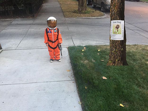 niño pasea perro en traje astronauta y le hacen photoshop 6