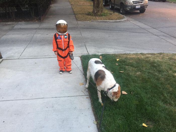 Niño pasea a su perro en traje de astronauta y se convierte en la instantánea estrella de una batalla de Photoshop