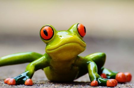 Esta nueva aplicación es como Shazam para ranas