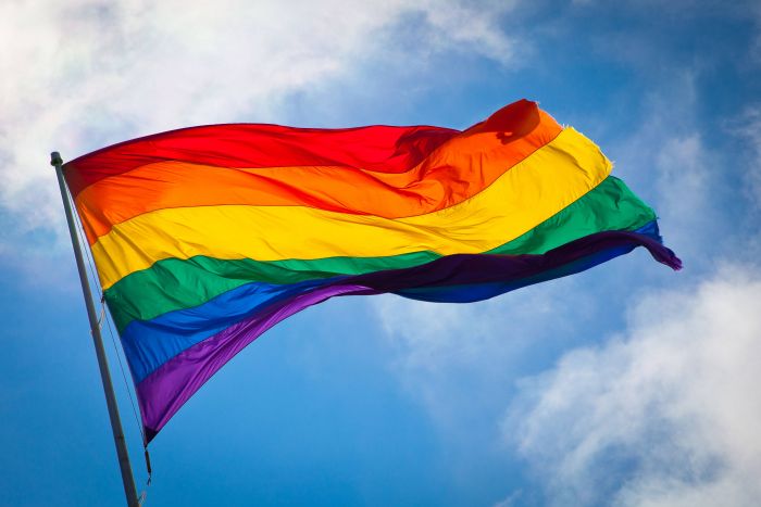 Matrimonio gay 1