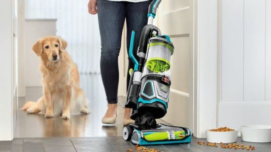 Conoce la aspiradora diseñada específicamente para el pelo de tu mascota