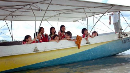 ¿Cómo se puede crear transporte público en la jungla del Amazonas sin contaminarla?