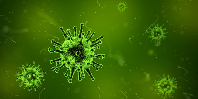 Científicos quieren crear células humanas capaces de resistir virus