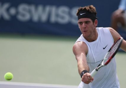 Tenis argentino: Del Potro y Schwartzman lograron ascensos históricos en la clasificación mundial