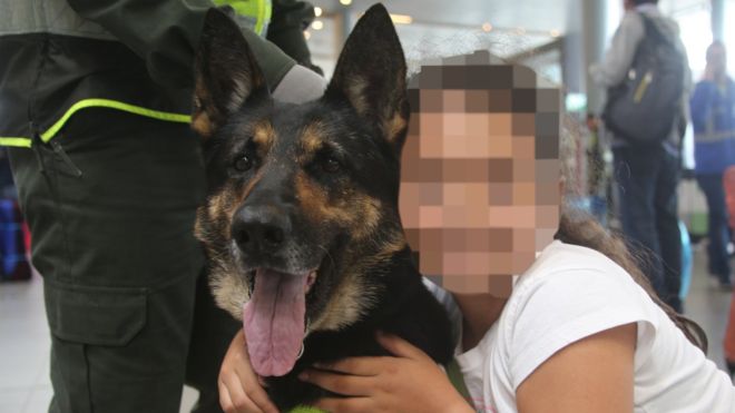 Banda en Colombia pone precio a la cabeza de un perro detector de drogas