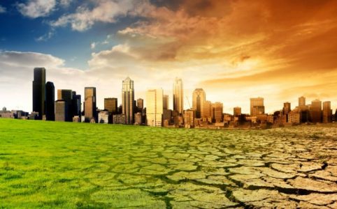 El cambio climático impulsado por los humanos hizo que la ola de calor fuese ‘dos veces más probable’