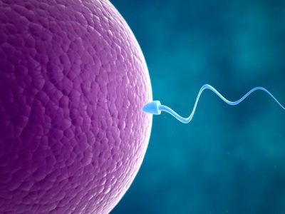 Ovario artificial podría ayudar a las pacientes jóvenes con cáncer a preservar la fertilidad