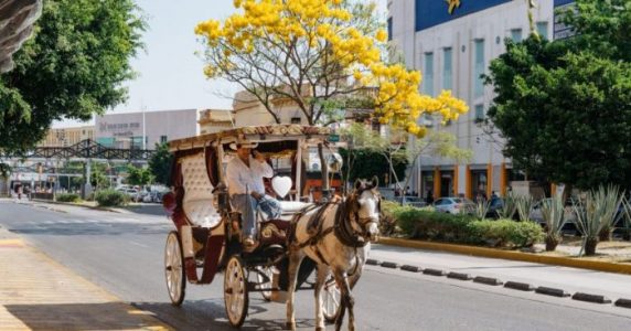 Las mejores cosas que ver y hacer en Guadalajara