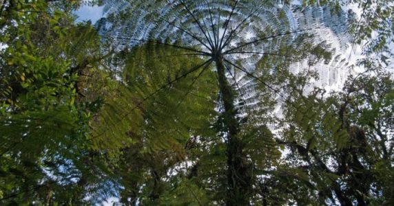 Las 10 mejores cosas que hacer en San José