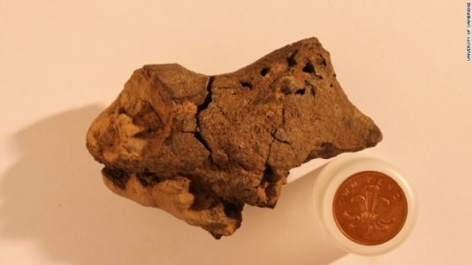 Antiguas herramientas halladas podrían ‘reescribir la historia del origen humano’