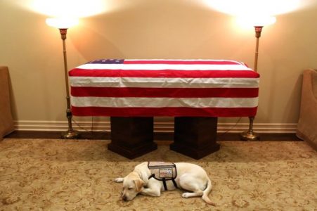 El perro de servicio de George HW Bush rinde el último tributo