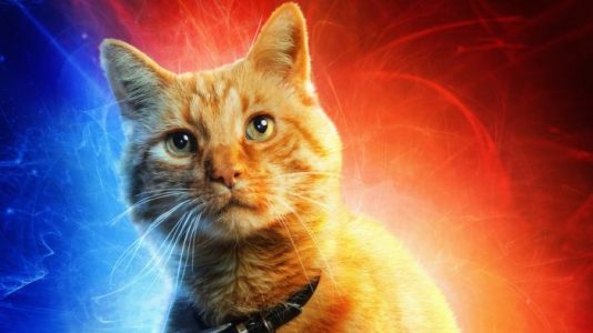 Todo lo que necesitas saber sobre Goose, el felino de Capitana Marvel