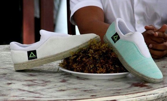 Pioneros de México hacen zapatos reciclados de algas