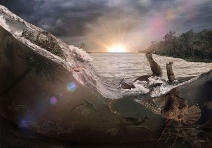 Impacto de asteroides: impresionantes fósiles registran la desaparición de los dinosaurios