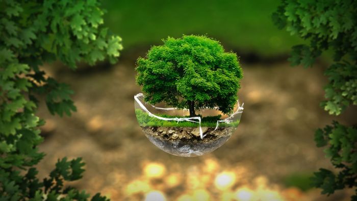 Cómo ser más ecológico en la vida cotidiana
