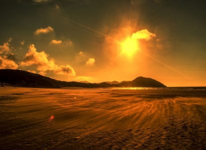 Algunas consecuencias inesperadas del calor extremo