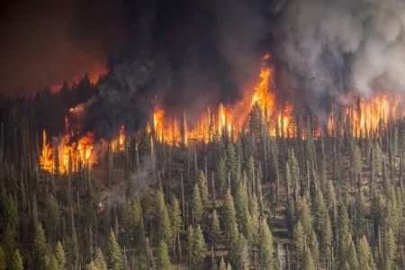 Guarda el dron y deja que los bomberos hagan su trabajo