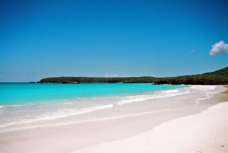 Imagina que no estás en cuarentena con estas 7 transmisiones en vivo de la playa en todo el mundo