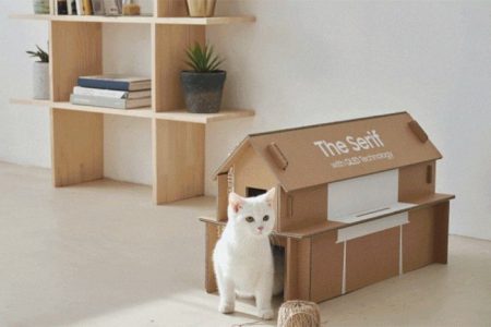 Las nuevas cajas de TV de Samsung se pueden convertir en casas de gatos