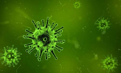 Wuhan: nuevos casos de coronavirus desde el final del bloqueo