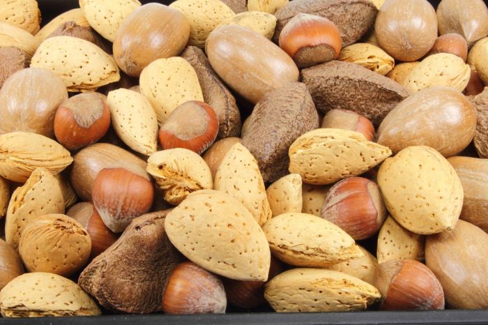 Los frutos secos aumentan la sensación de saciedad