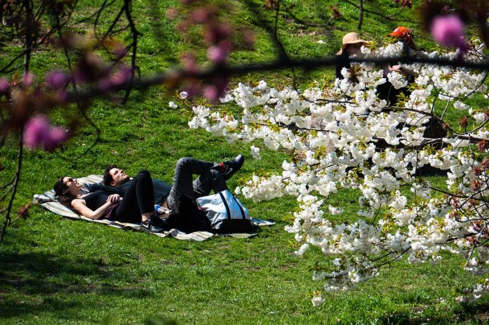 Para qué sirve la vitamina D