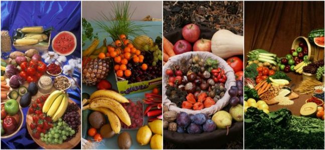 ¿Qué comen los vegetarianos?