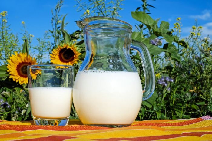 La leche es uno de los alimentos con más calcio pero no el único