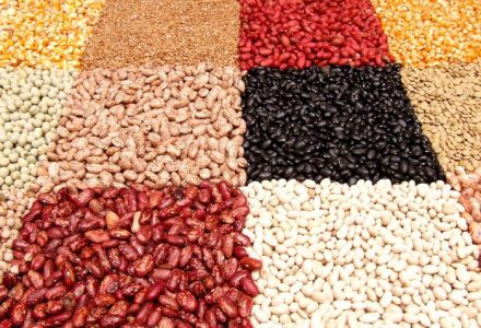 Qué son las legumbres y por qué debemos comerlas