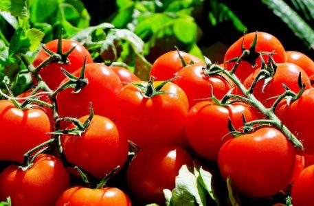 Beneficios del tomate: colorido, sabroso y saludable