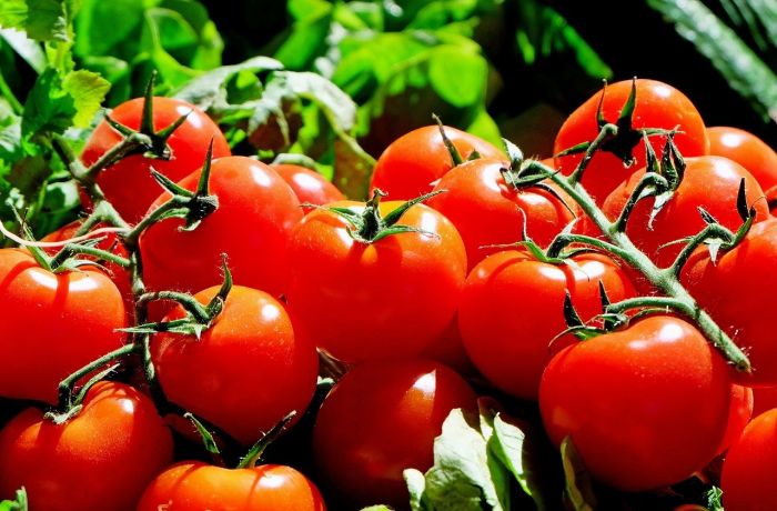 Beneficios de los tomates