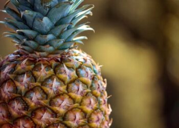 Beneficios de la piña