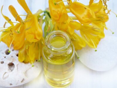 Aceite de jojoba: Propiedades y beneficios