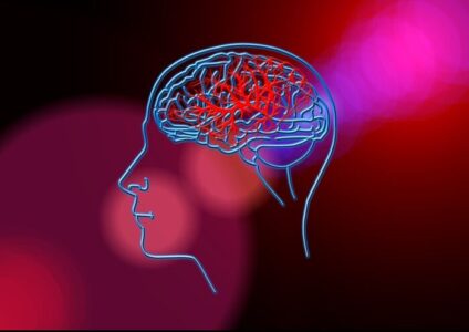 Cómo mejorar la circulación cerebral