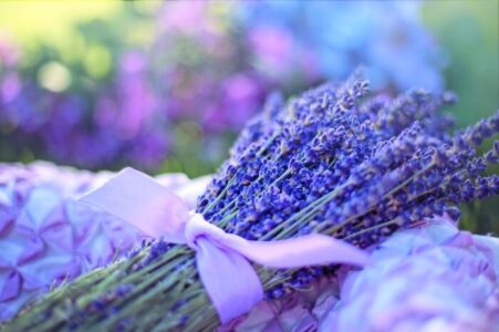 Lavanda: Propiedades, usos y beneficios