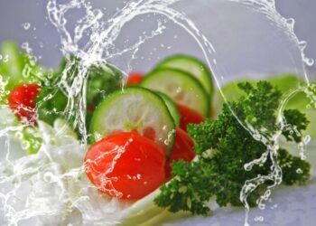 Dieta vegetariana