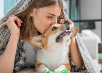 Disminuir estrés con mascotas